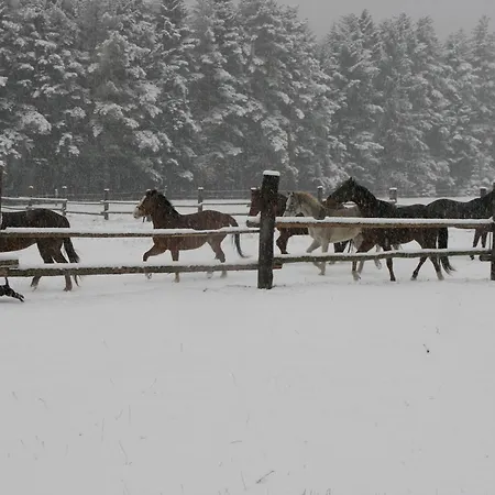 Penzión pre hostí Penzion-ranc U Trapera Hrabusice