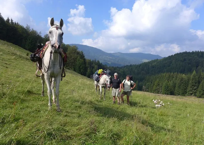 Πανσιόν Penzion-ranc U Trapera 2*